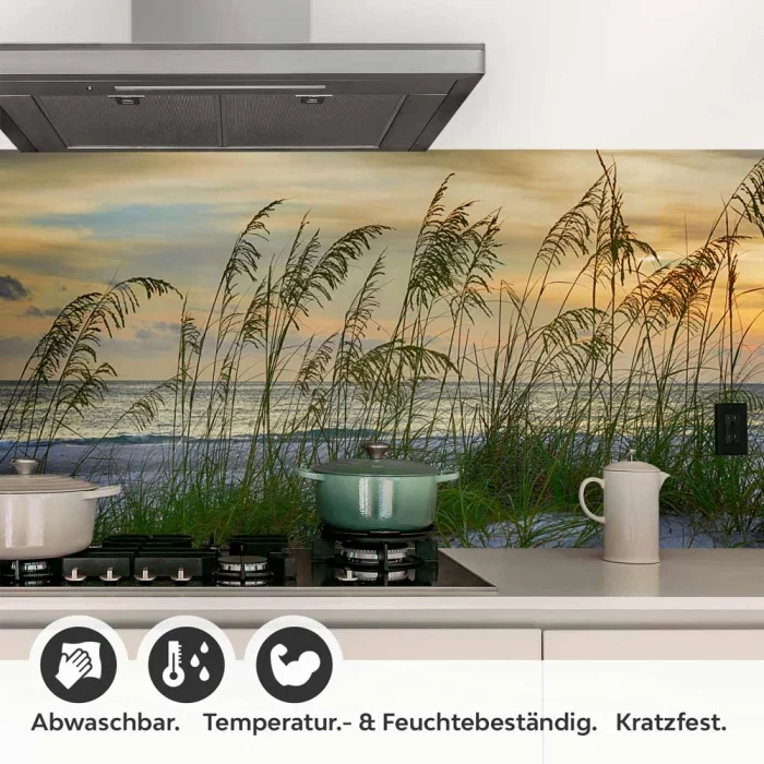 Küchenrückwand Folie Dünenlandschaft & Strand Flora Detailbild 1