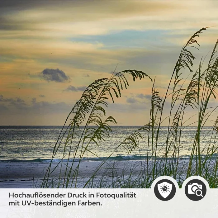 Küchenrückwand Folie Dünenlandschaft & Strand Flora Detailbild 2