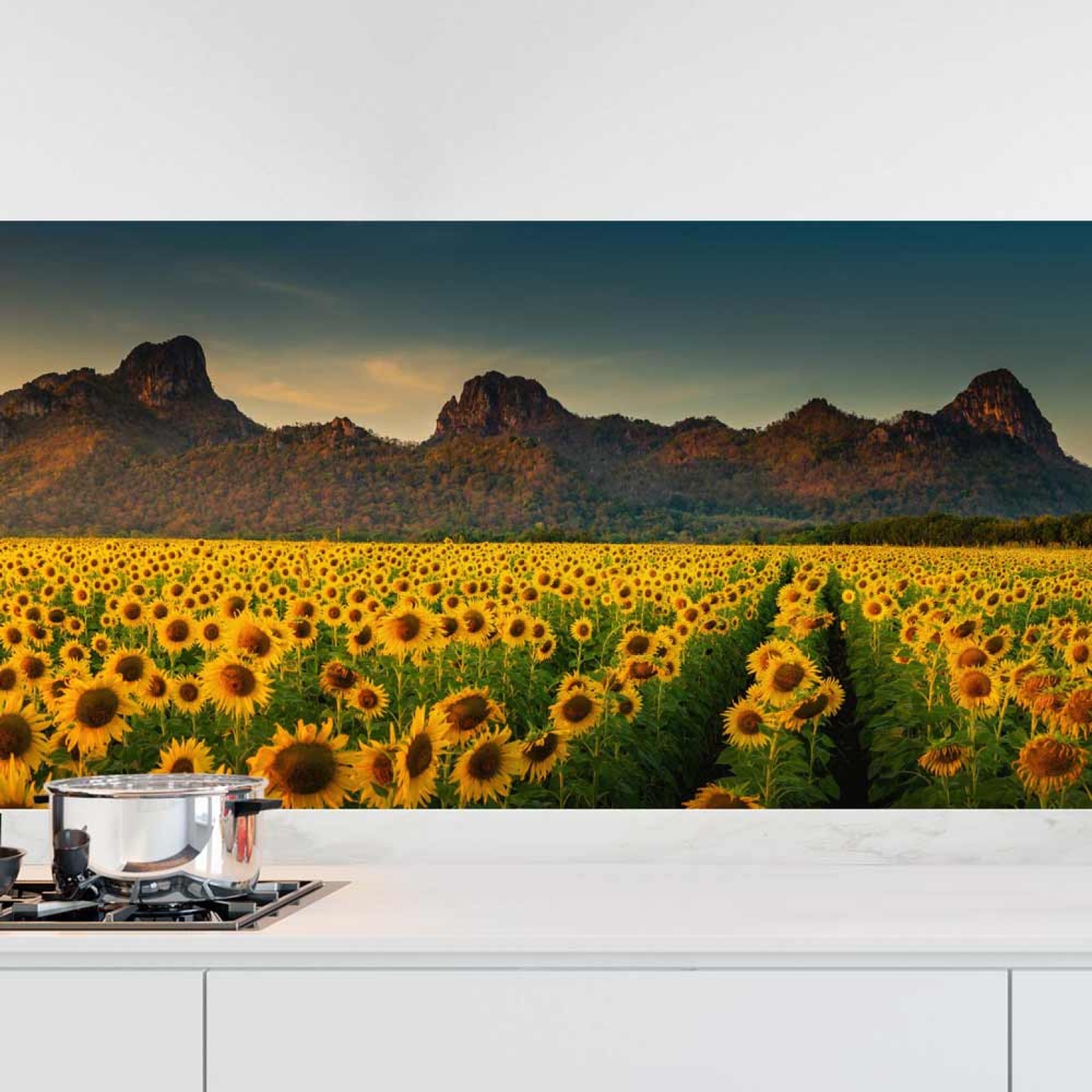 Küchenrückwand Folie Sonnenblumen Feld