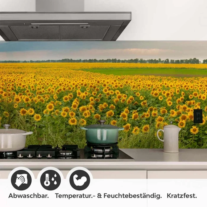 Küchenrückwand Folie Sonnenblumen Detailbild 1
