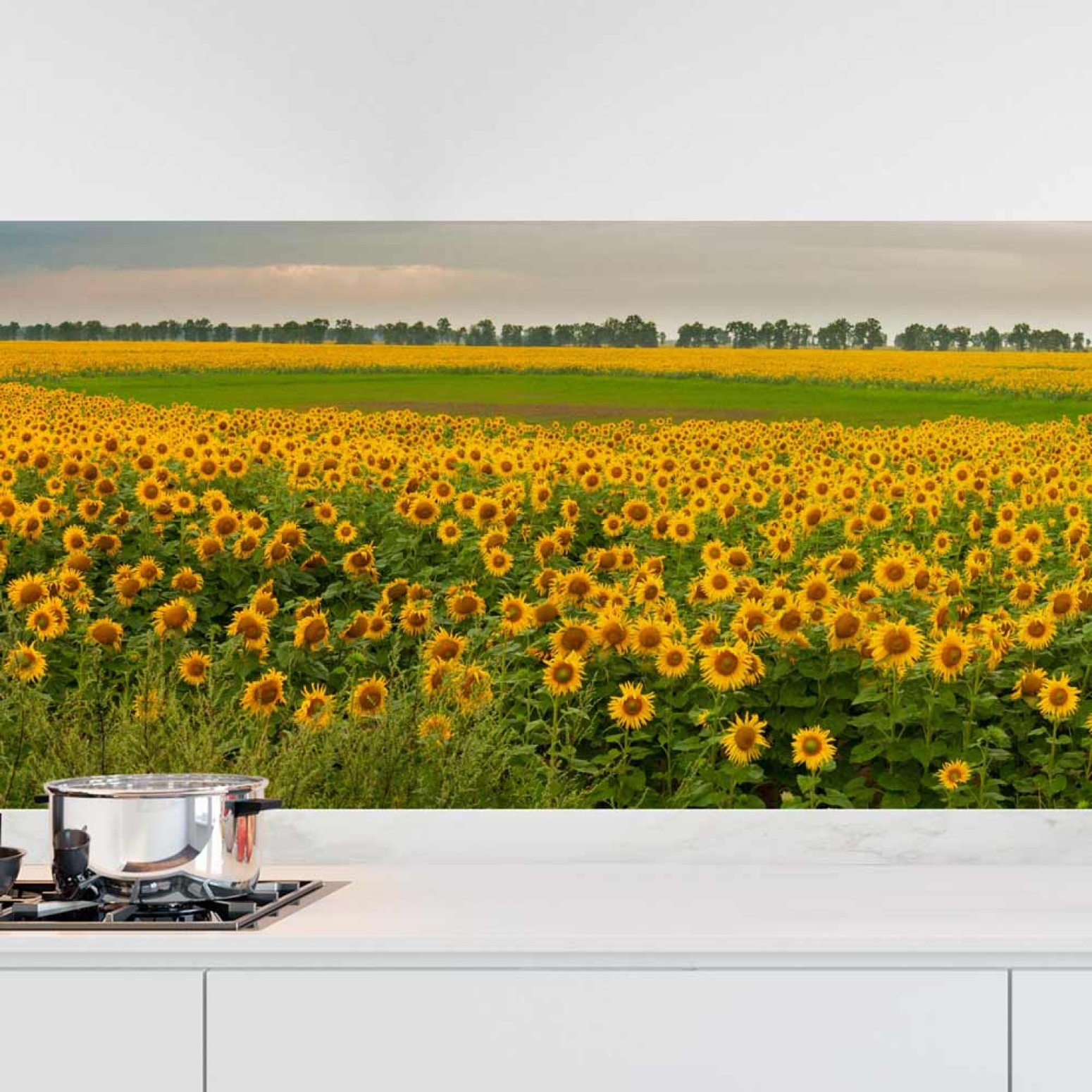 Küchenrückwand Folie Sonnenblumen