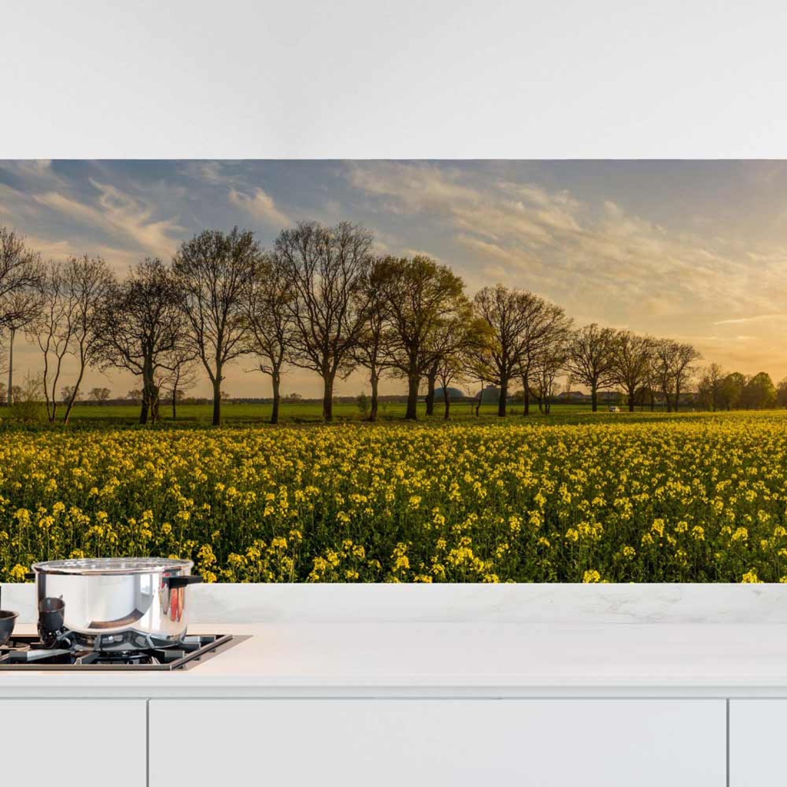 Küchenrückwand Folie Sonnenblumenallee