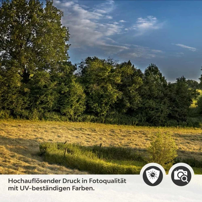 Küchenrückwand Folie Landschaft im Frühling Detailbild 2