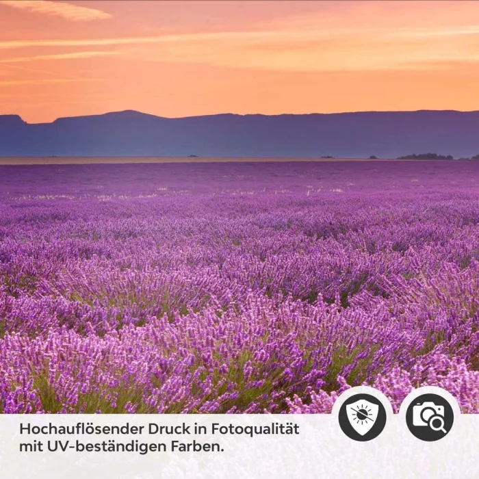 Küchenrückwand Folie Lavendel Panorama Detailbild 2
