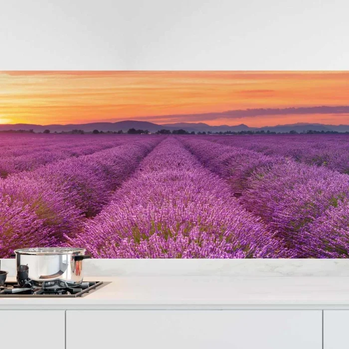 Küchenrückwand Folie Lavendel Panorama Hauptbild 1
