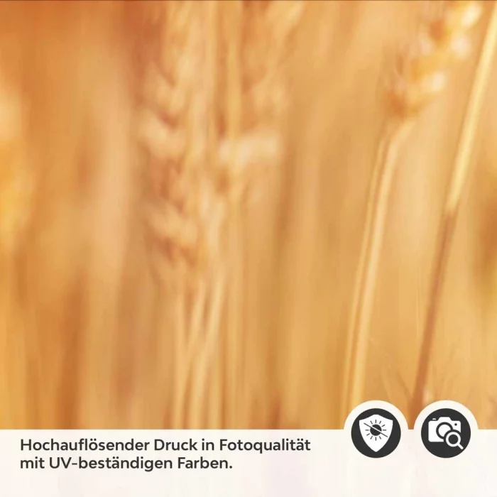 Küchenrückwand Folie goldene Weizen Detailbild 2