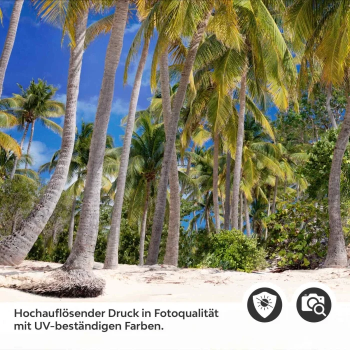 Küchenrückwand Folie Strandparadies Detailbild 2