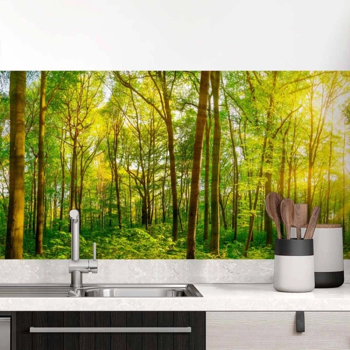 Küchenrückwand Folie grüner Waldtraum