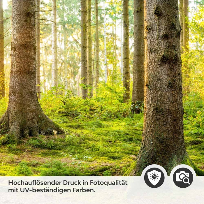 Küchenrückwand Folie unberührter Wald Detailbild 2