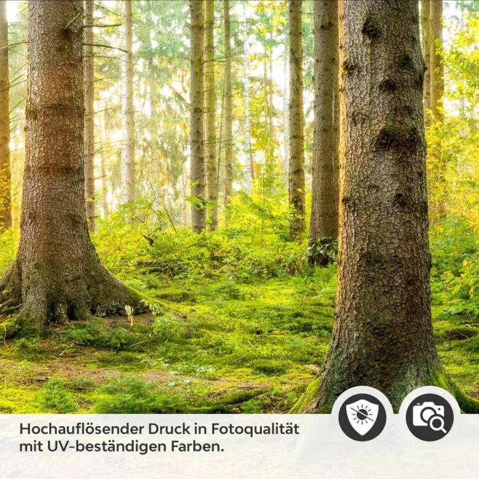 Küchenrückwand Folie unberührter Wald Detailbild 2