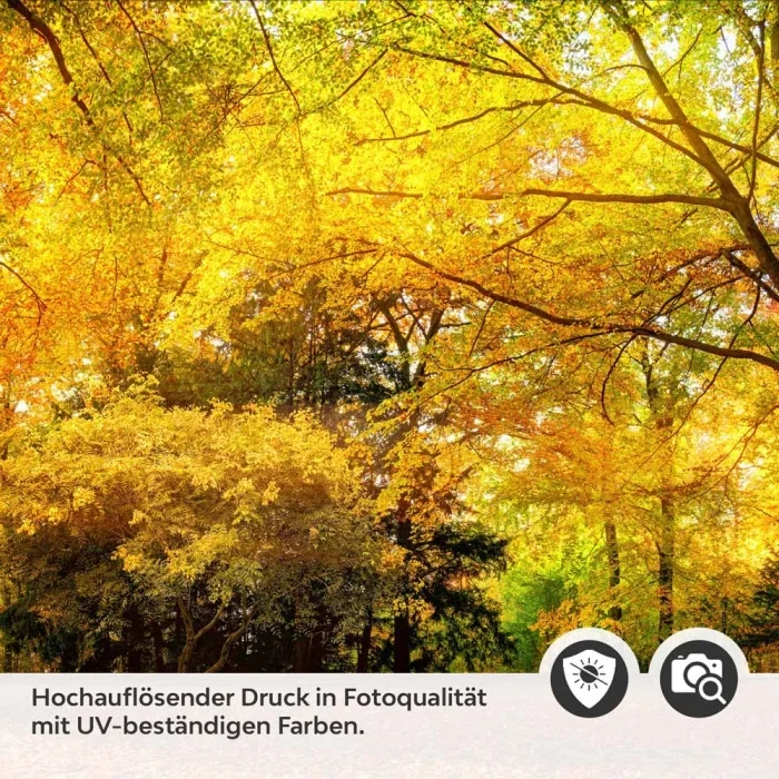 Küchenrückwand Folie Herbstwald - Farbenpracht für Ihre Küche Detailbild 2