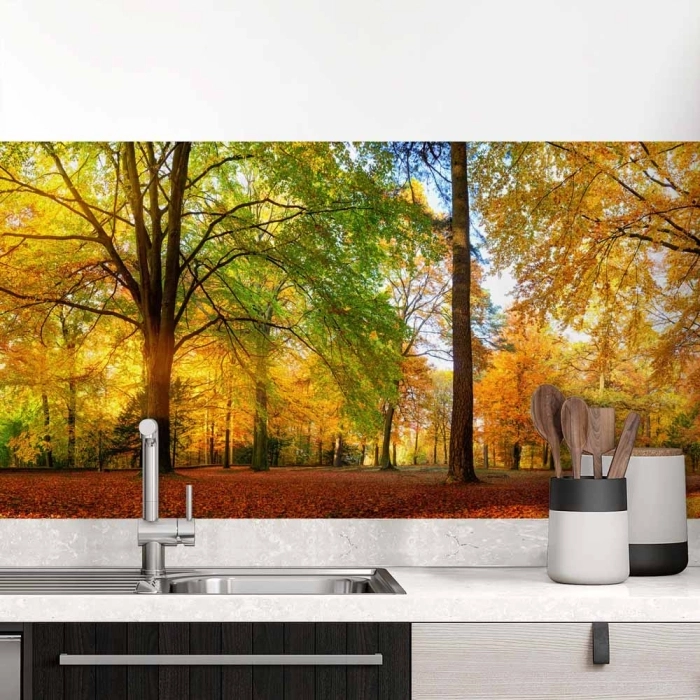 Küchenrückwand Folie Herbstwald - Farbenpracht für Ihre Küche