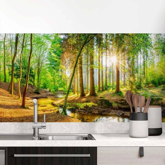 Küchenrückwand Folie Wald Lichtspiel