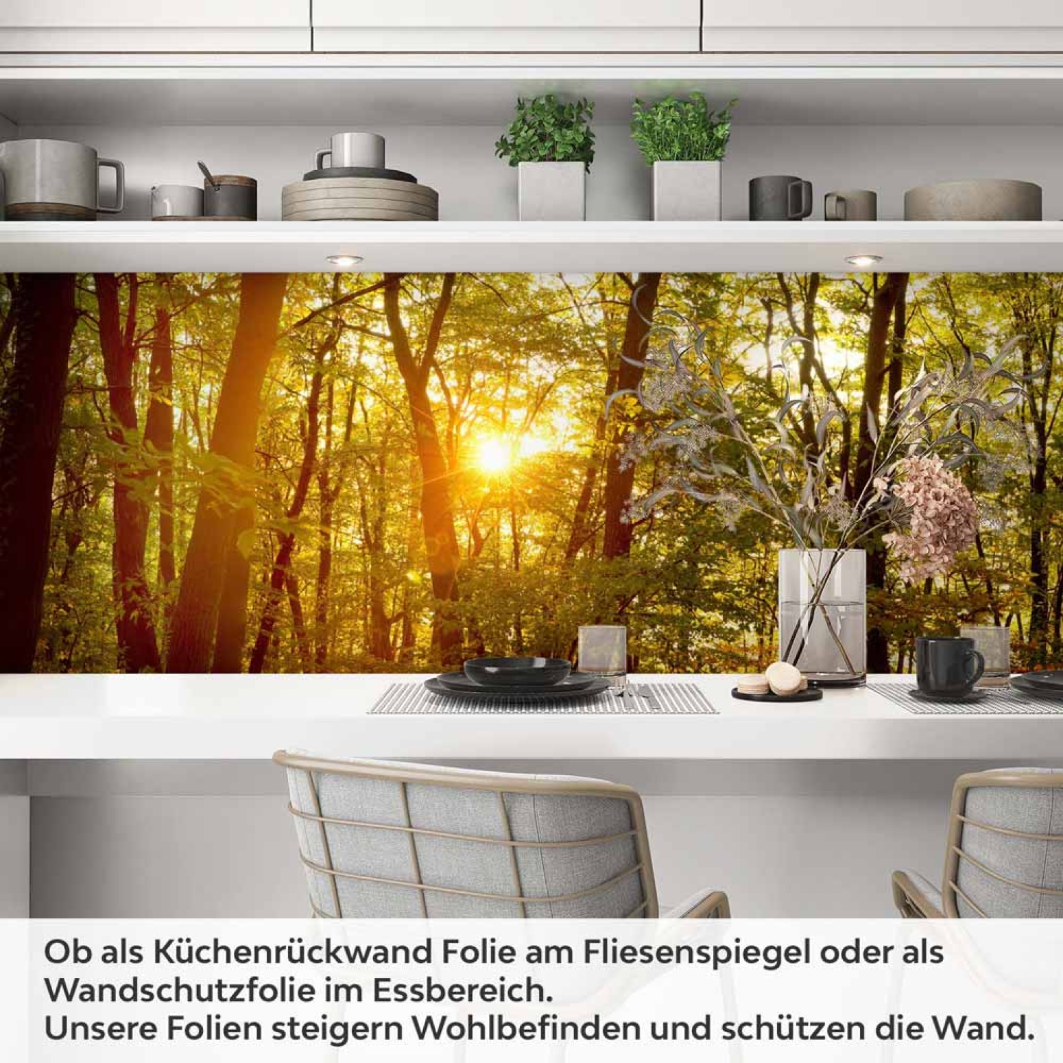 Küchenrückwand Folie herbstlicher Wald Artikelbild 1