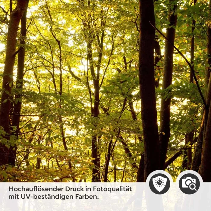 Küchenrückwand Folie herbstlicher Wald Detailbild 2