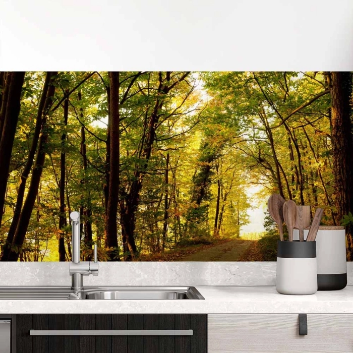 Küchenrückwand Folie herbstlicher Wald