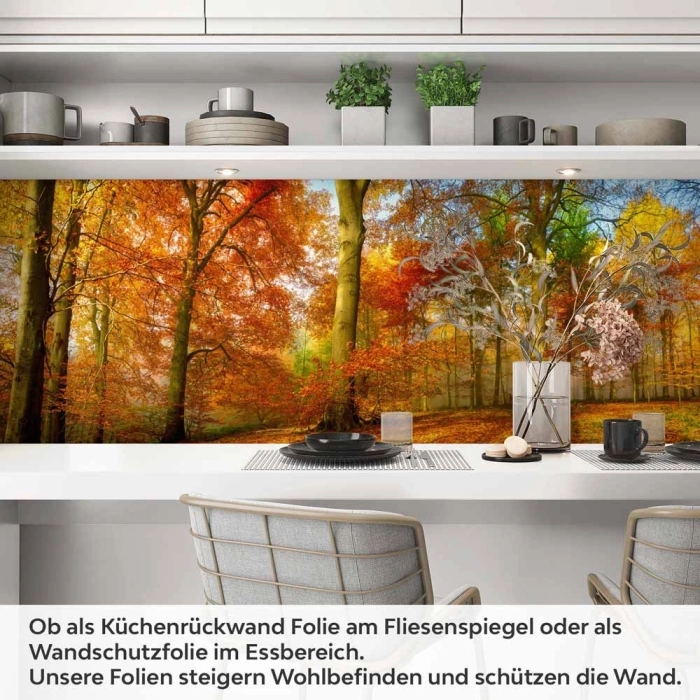 Küchenrückwand Folie goldener Herbstwald - Strahlende Naturpracht Artikelbild 1