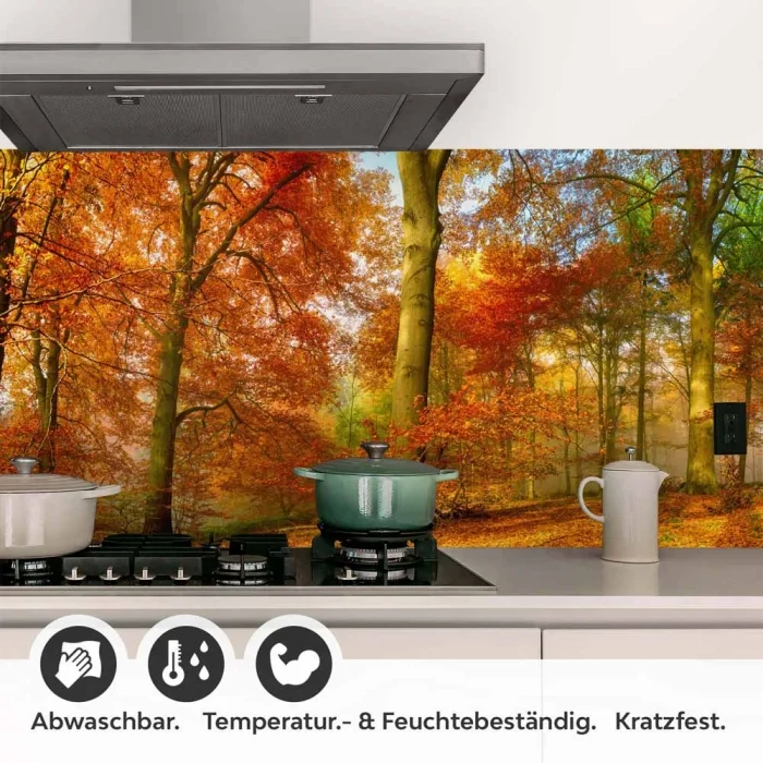 Küchenrückwand Folie goldener Herbstwald - Strahlende Naturpracht Detailbild 1