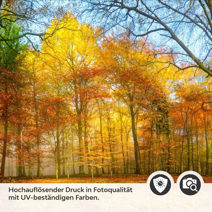 Küchenrückwand Folie goldener Herbstwald - Strahlende Naturpracht Detailbild 2