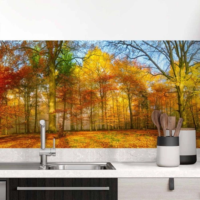 Küchenrückwand Folie goldener Herbstwald - Strahlende Naturpracht