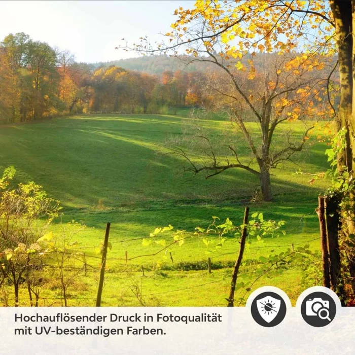 Küchenrückwand Folie Weg durch den Wald im Herbst Detailbild 2