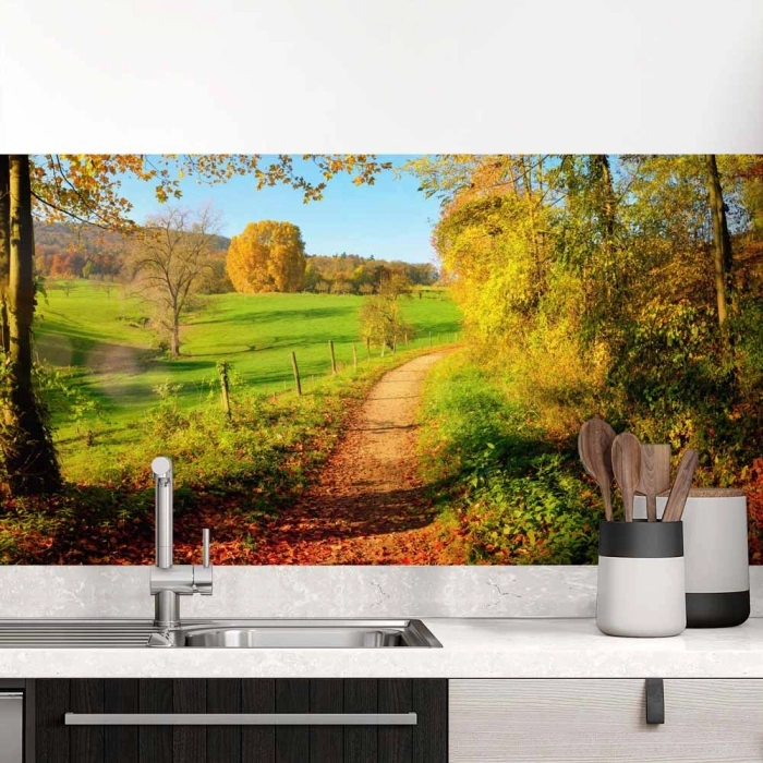 Küchenrückwand Folie Weg durch den Wald im Herbst