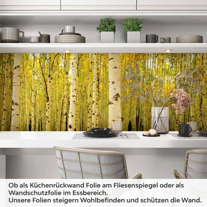 Küchenrückwand Folie Birkenwald Artikelbild 1