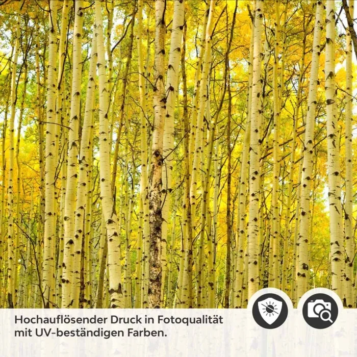 Küchenrückwand Folie Birkenwald Detailbild 2