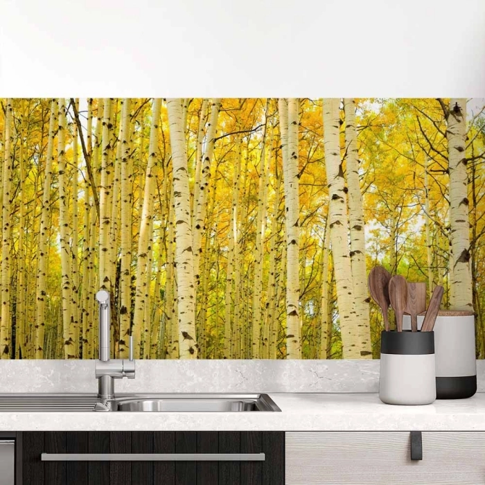Küchenrückwand Folie Birkenwald