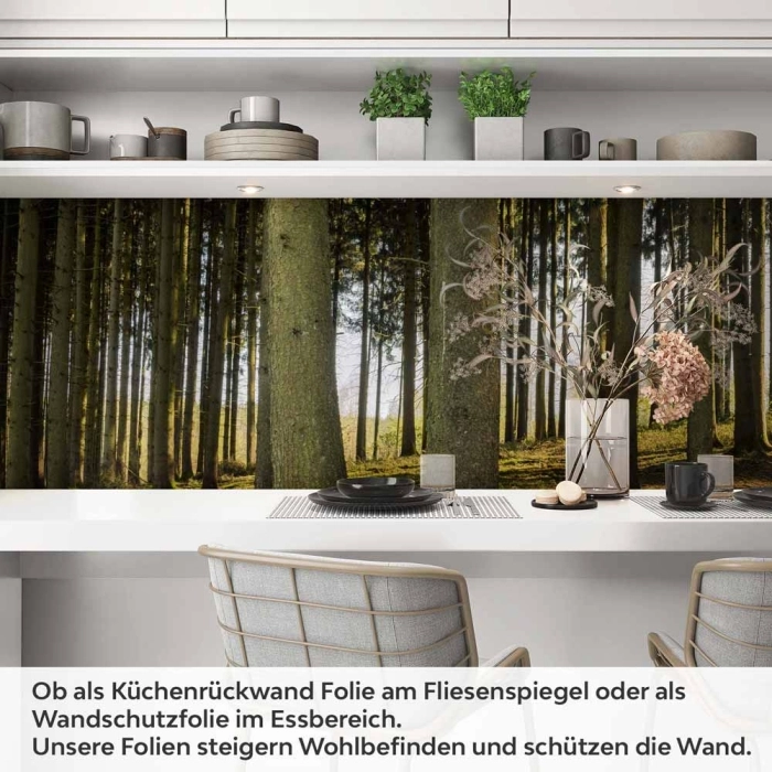 Küchenrückwand Folie Nadelwald - Lichtspiel der Natur Artikelbild 1