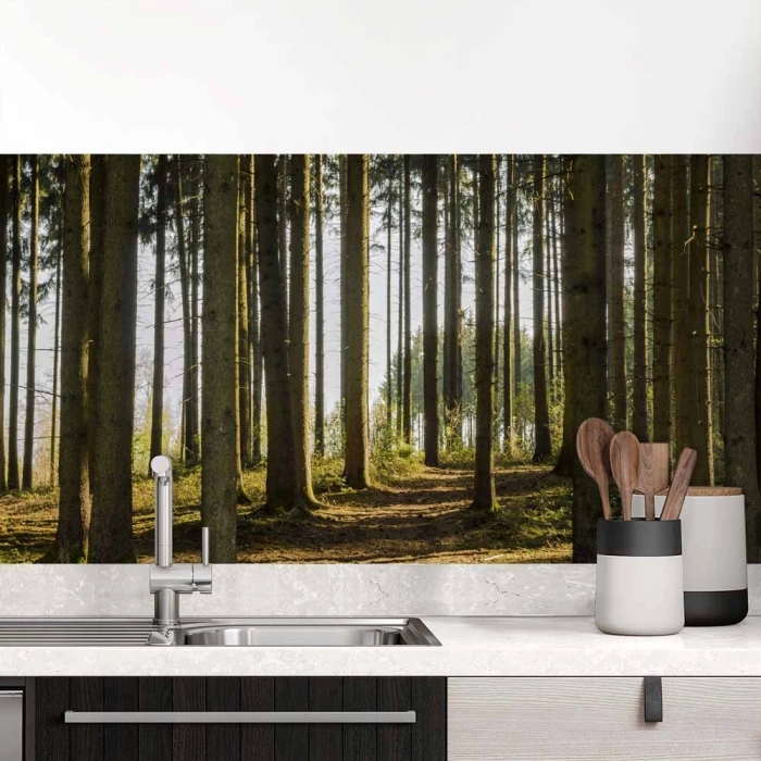 Küchenrückwand Folie Nadelwald - Lichtspiel der Natur