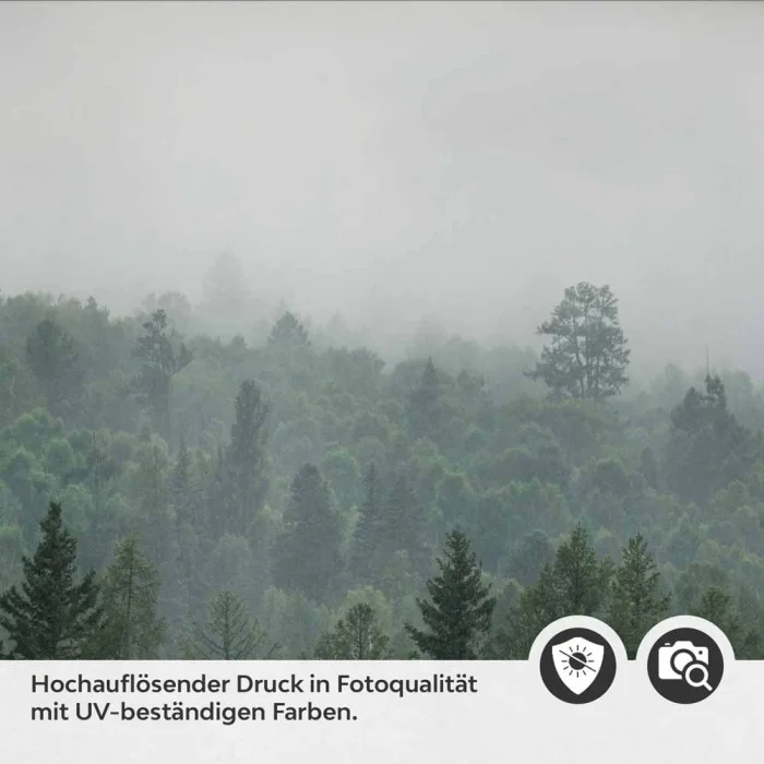 Küchenrückwand Folie Wald im Nebel Detailbild 2