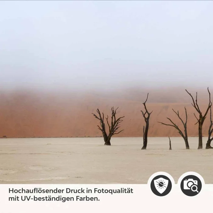 Küchenrückwand Folie Wüstenlandschaft Detailbild 2