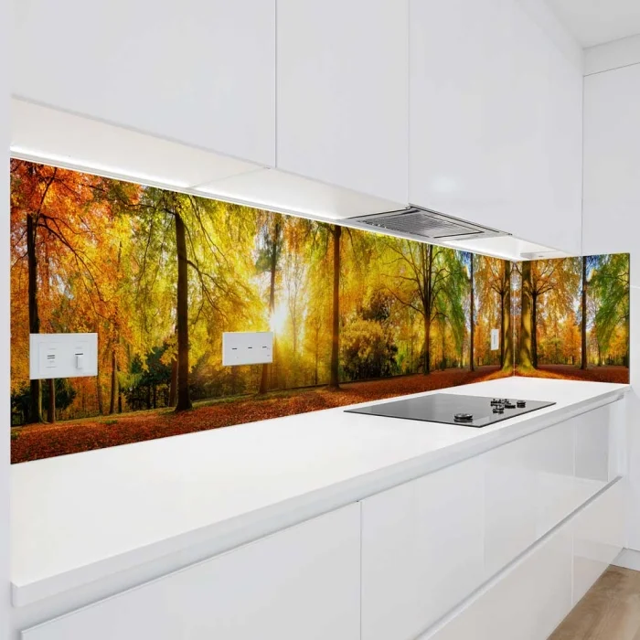 Küchenrückwand Platte Herbstlicher Wald Artikelbild 1