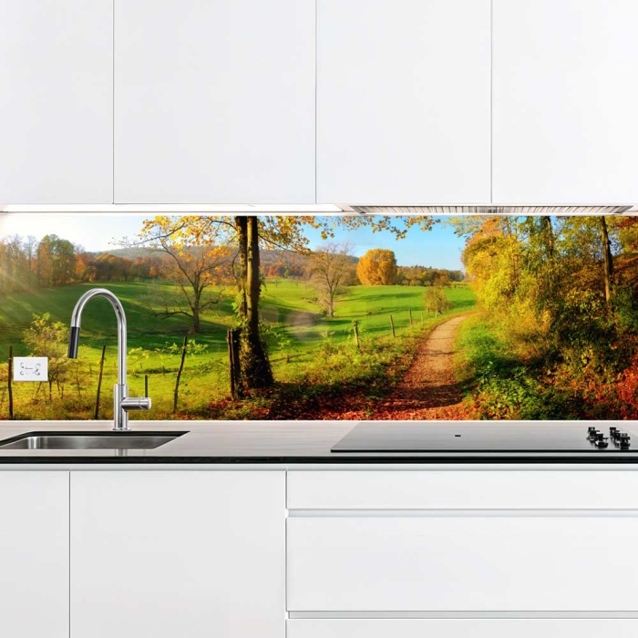Küchenrückwand Platte | Herbstlicher Waldweg