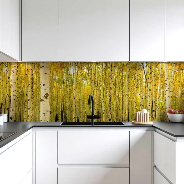 Küchenrückwand Platte Birkenwald Artikelbild 2