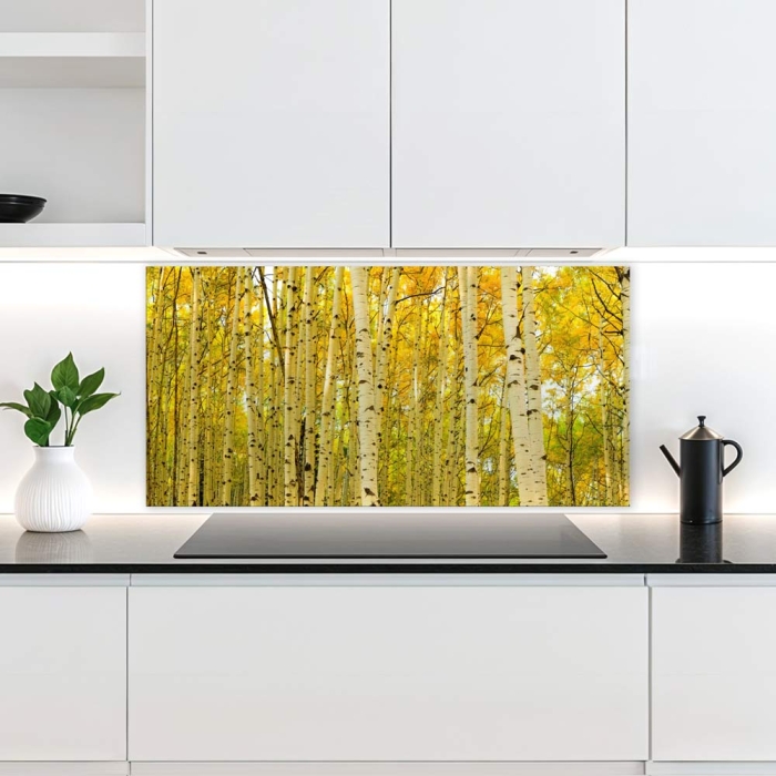 Küchenrückwand Platte | Birkenwald