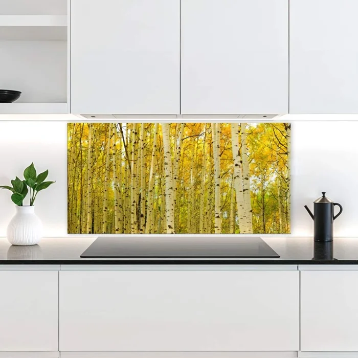 Küchenrückwand Platte Birkenwald Hauptbild 1