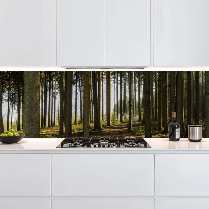 Küchenrückwand Platte Nadelwald im Lichtspiel der Natur Artikelbild 1