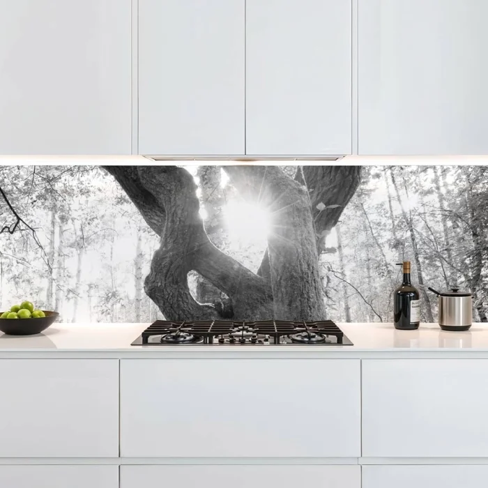 Küchenrückwand Platte Baum im Schein des Lichts Artikelbild 1
