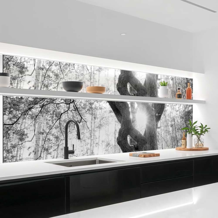 Küchenrückwand Platte | Baum im Schein des Lichts