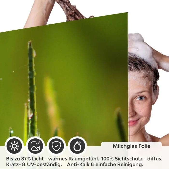 Sichtschutzfolie Dusche | Grashalmspitzen mit Tautropfen