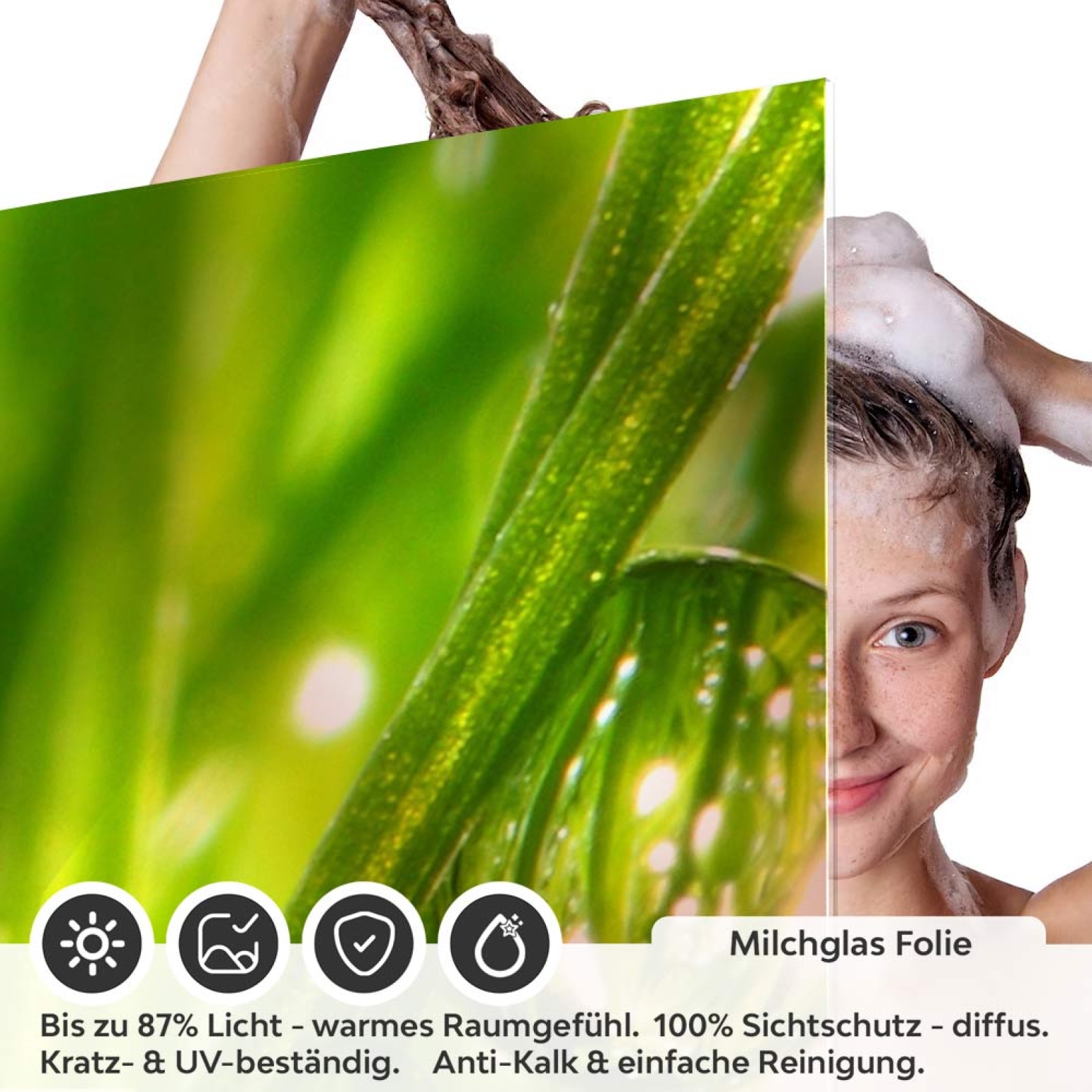 Sichtschutzfolie Dusche | Grashalme mit klaren Wasserperle