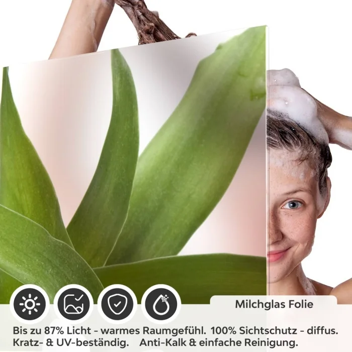 Sichtschutzfolie Dusche | SPA Steinbalance mit Blüte und Bambusblatt