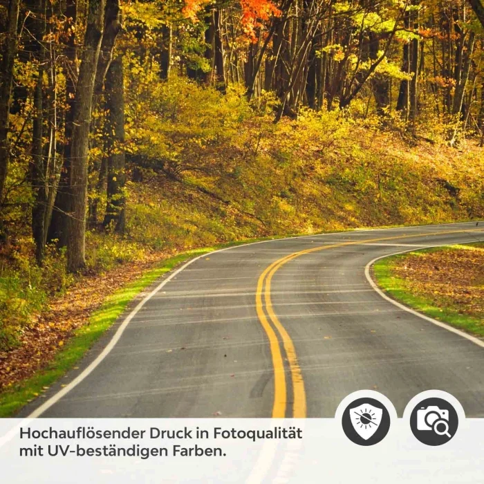 Türfolie Herbstliche Laubwald Straße Detailbild 2