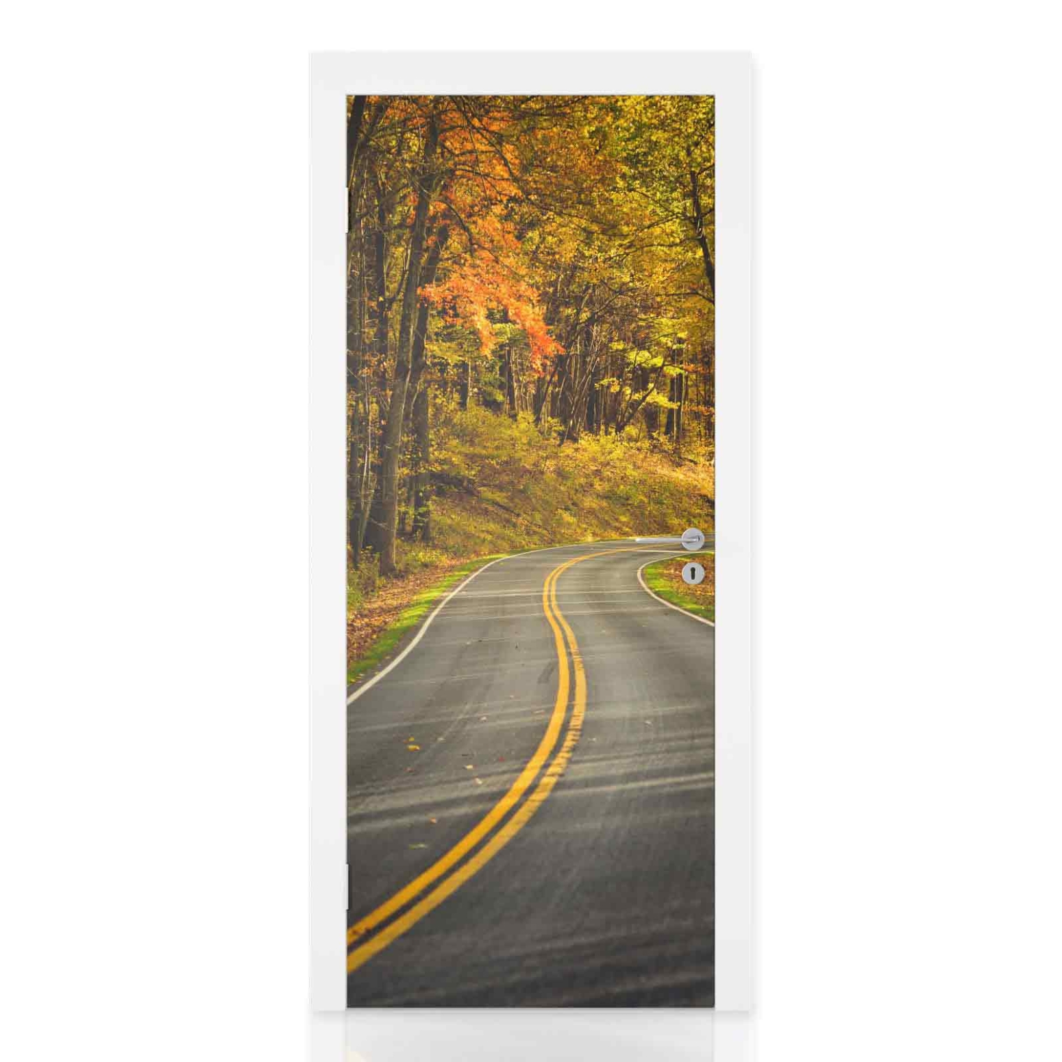 Türfolie Herbstliche Laubwald Straße Hauptbild