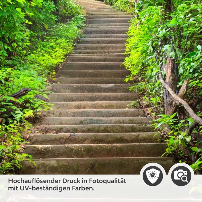 Türfolie Waldweg Treppe Detailbild 2