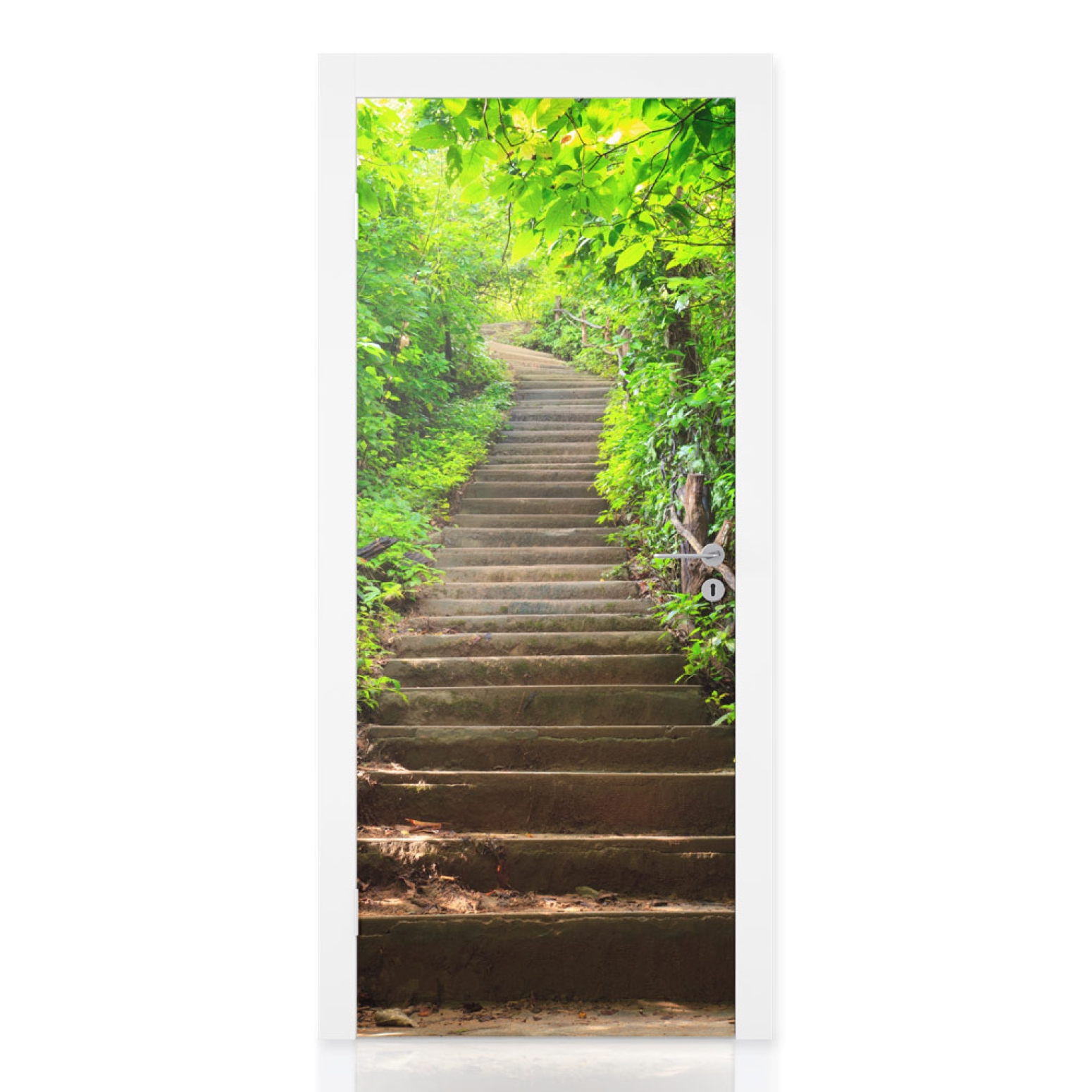 Türfolie Waldweg Treppe Hauptbild 1