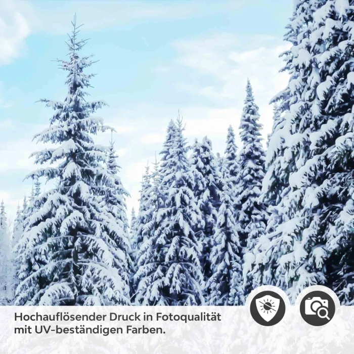 Türfolie Winterwald im Morgenlicht Detailbild 2