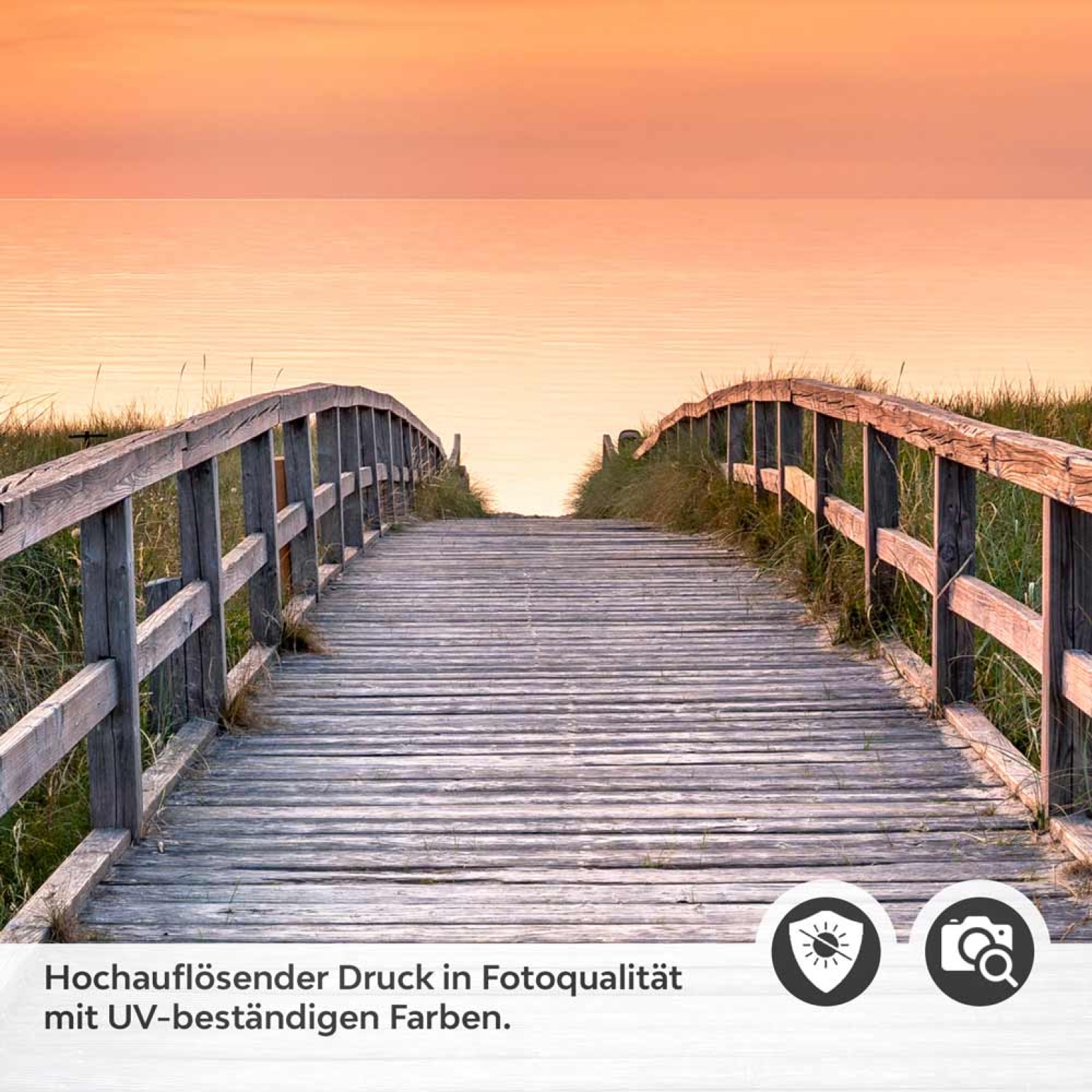 Türfolie Pfad durch die Düne Detailbild 2